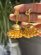 “Sukha” Jhumka